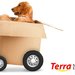 Terra Moving & Logistics - servicii mutari national si international